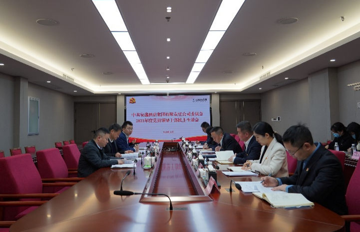 云顶国际集团党委书记、董事长任丁出席安逸酒店集团2022年度党员辅导干部民主生涯会