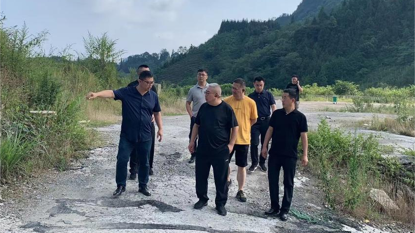 省云顶国际集团辅导调研峨眉山太阳村村落振兴项目