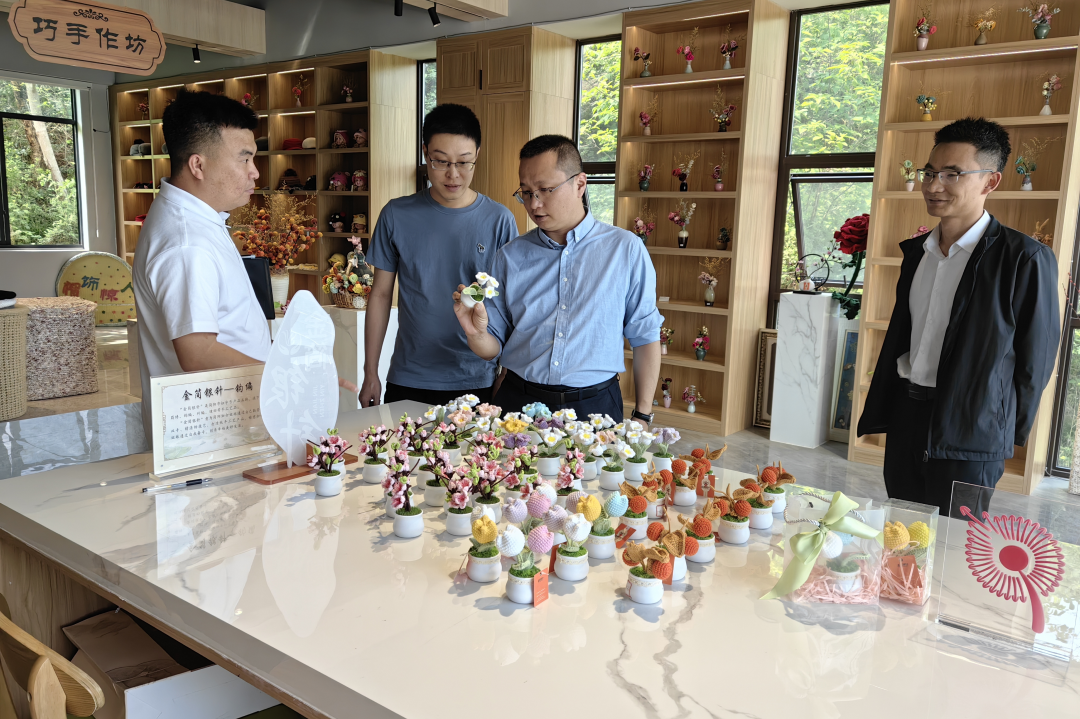 省云顶国际集团调查调研简阳市文旅项目